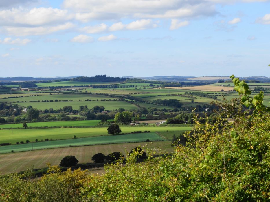 The glorious Test Valley from Stockbridge Down