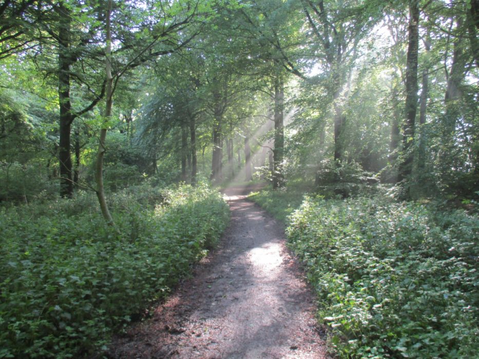 Tring Park