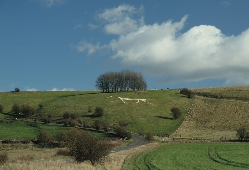 Looking up to Hackpen Hill white horse from the road to Broad Hinton (photo: Steve Davison)
