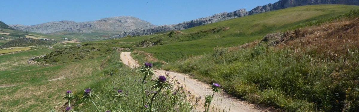 The track running westwards beneath La Sierra de Chimenea