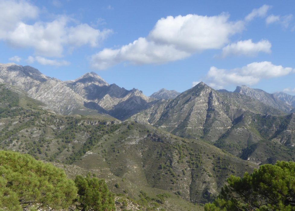 Looking back west on the ascent from El Acebuchal
