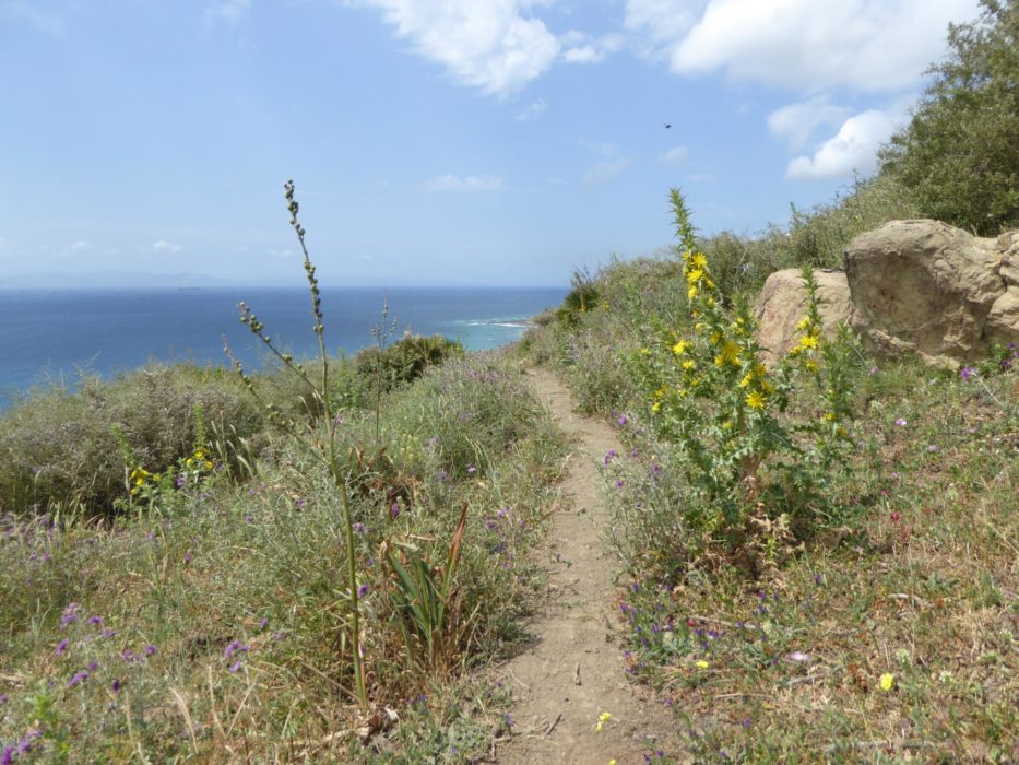 The coastal path leading towards Tarifa