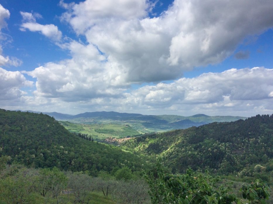 Wooded valley above the village of Ferrano, between Pontassieve and Consuma