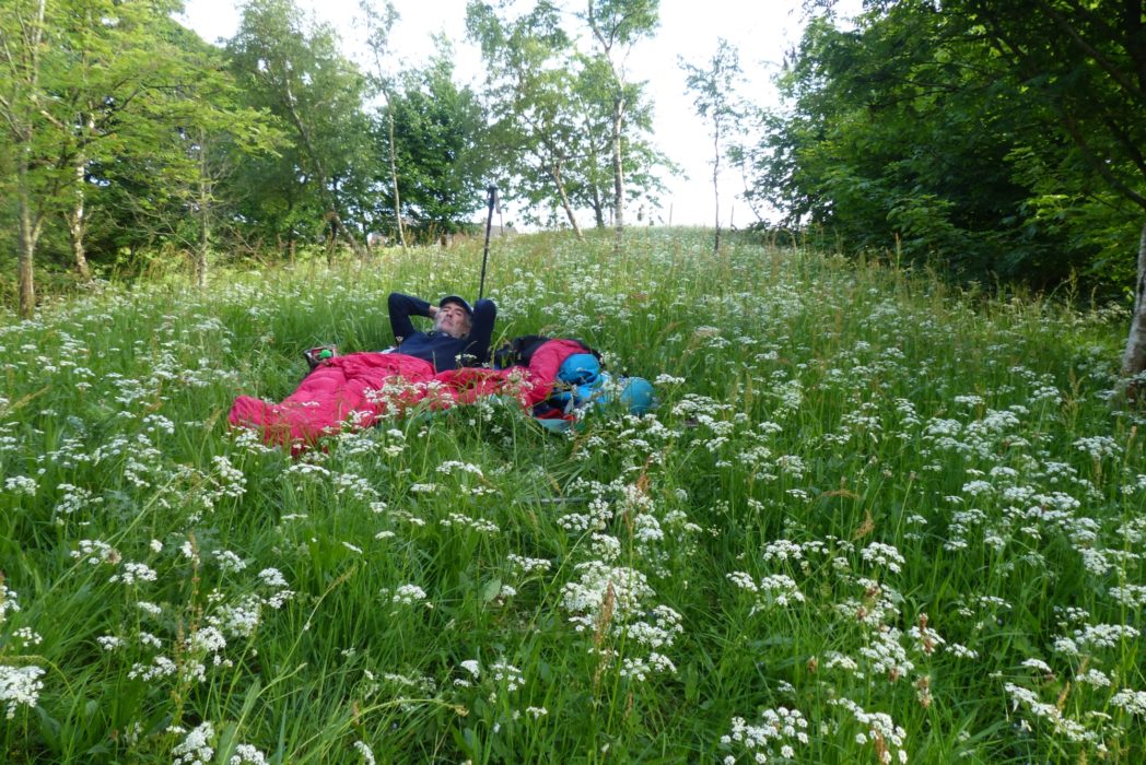 A night under the stars and amongst the flowers - and why not. The Yorkshire hills have never been so dry, who needs a tent! (Day 3 - days 10 & 11 in the guide).