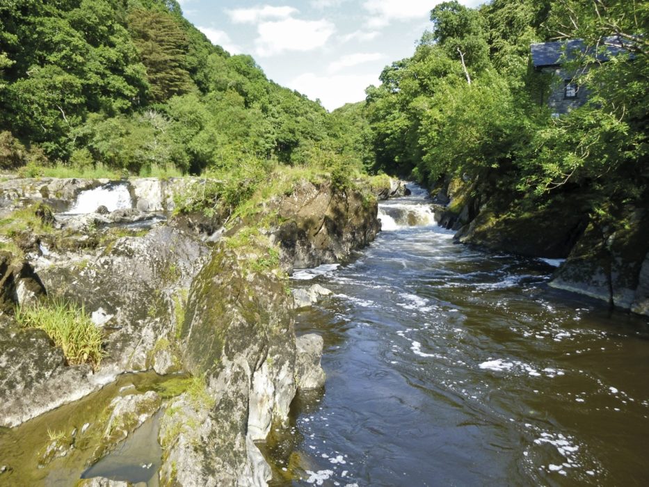 Afon Teifi At Cenarth