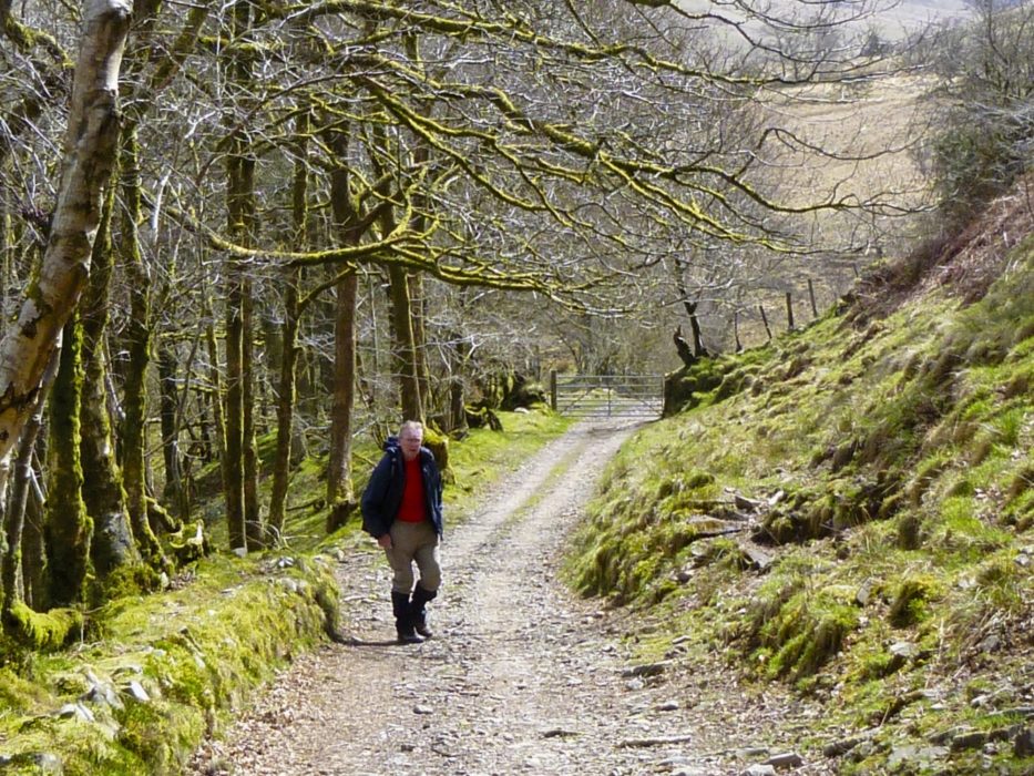 Approaching The Ford Below Newadd Fach In Early Spring