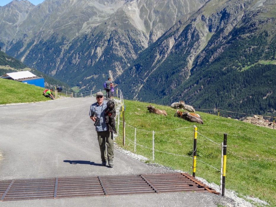 As he is relatively small it is easy to carry Khampa over obstacles like this cattle stop on the E5