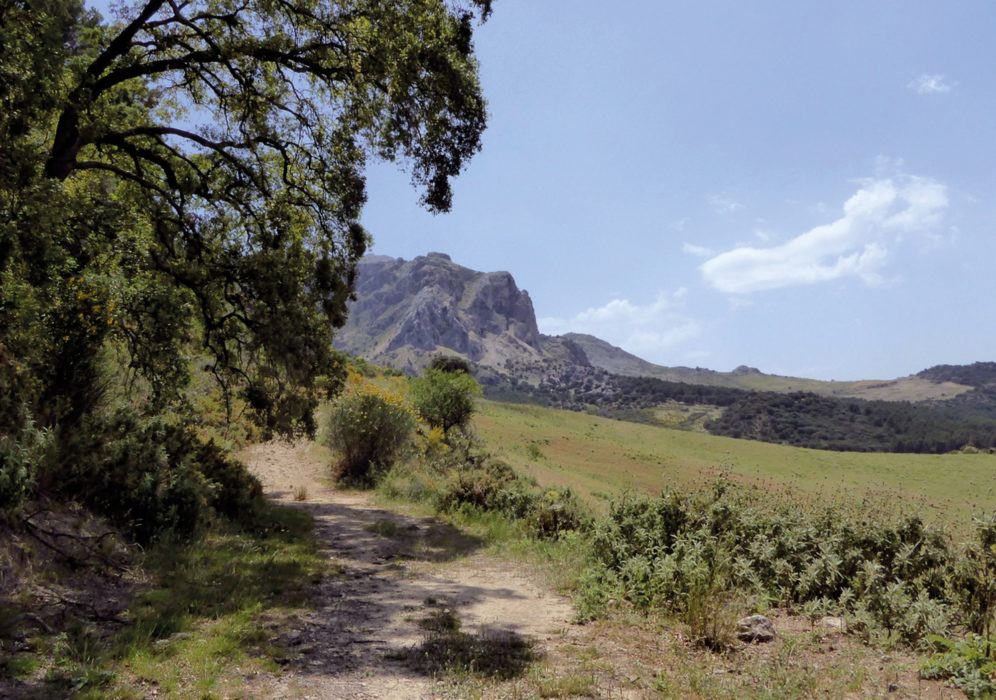 Following the northern slopes of the Sierra de Prieta towards El Burgo (Day 11)
