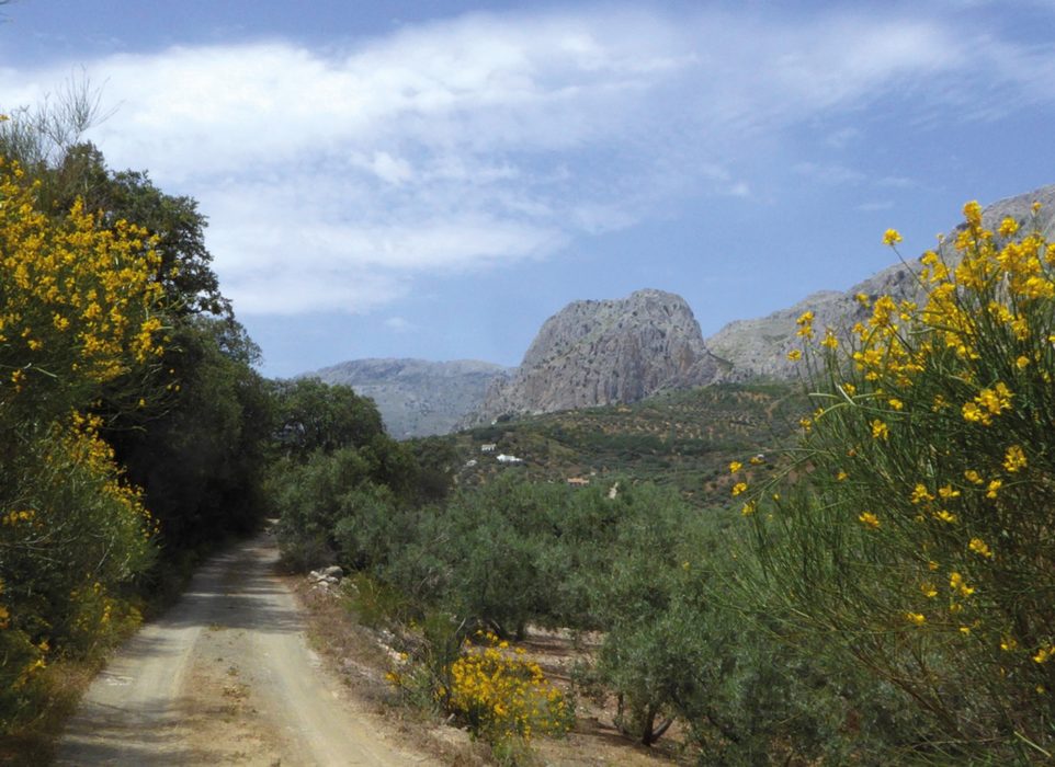Heading west towards the Sierra de Enmedio (Day 6)