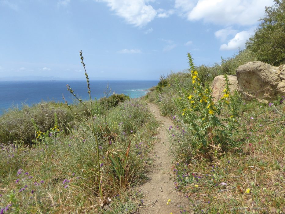 The coastal path close to Tarifa (Day 20)