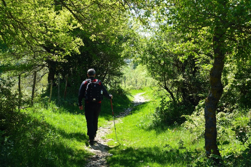 The path narrows