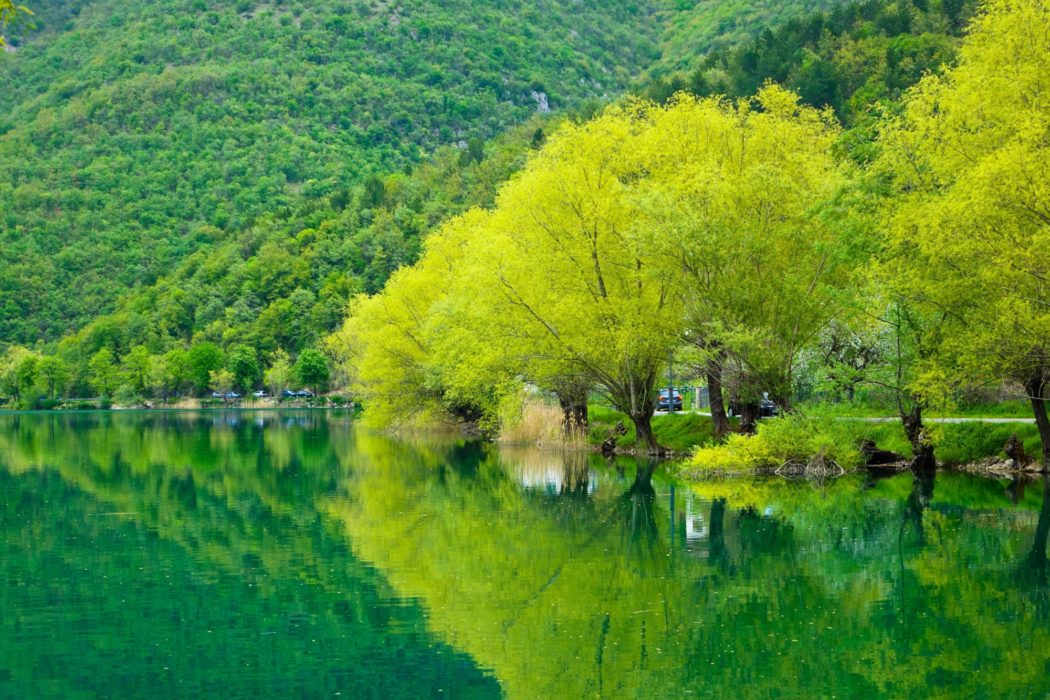 Trees lining Lake Scanno