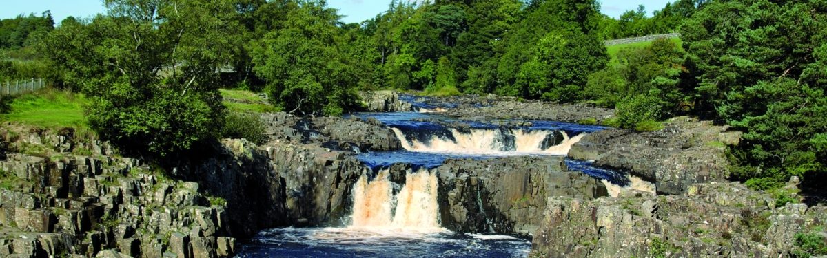 012 Low Force Header