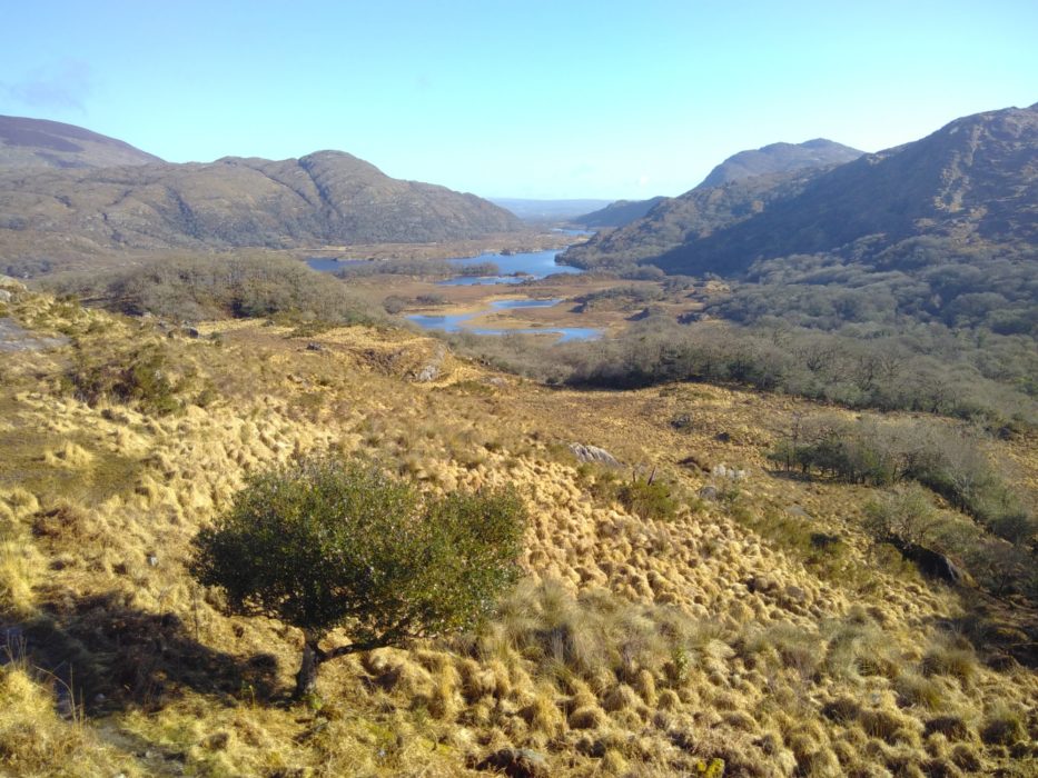 The lakes of Killarney from Ladies' View