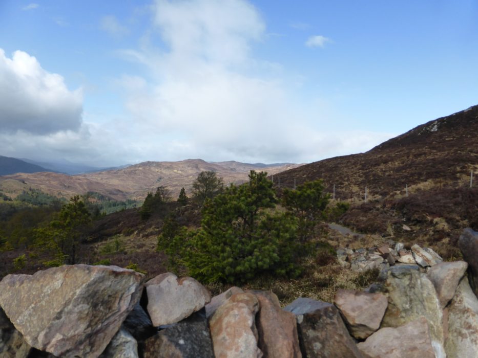 On the slopes of Creag Dherag
