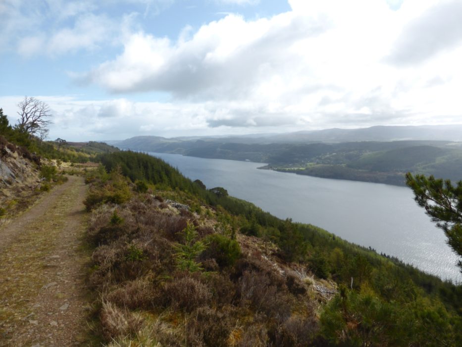 One of the forest tracks giving great views along Loch Ness