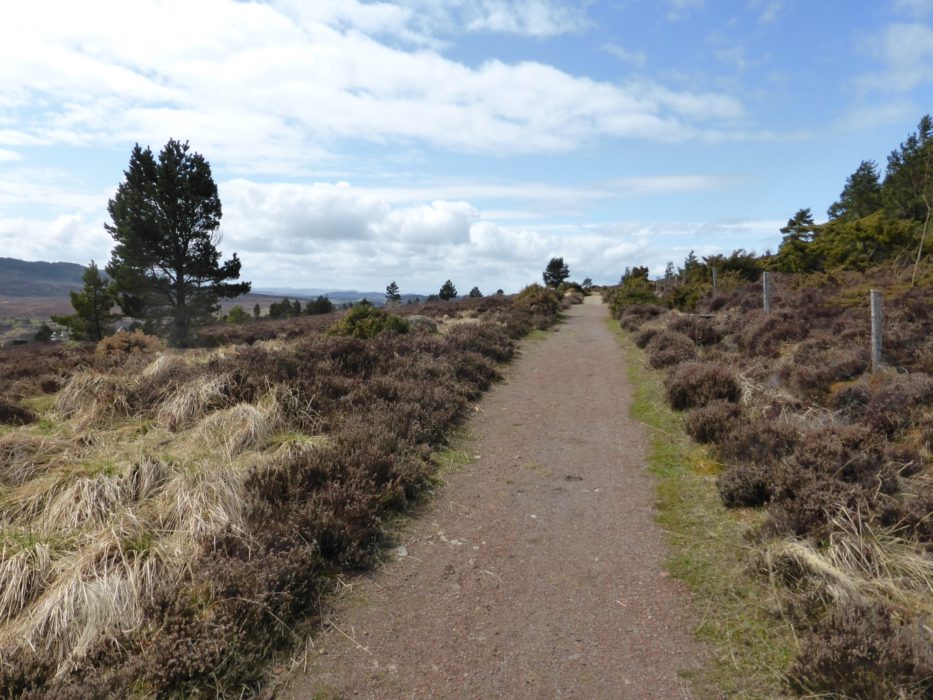 Quiet paths on moorland heading to Inverness