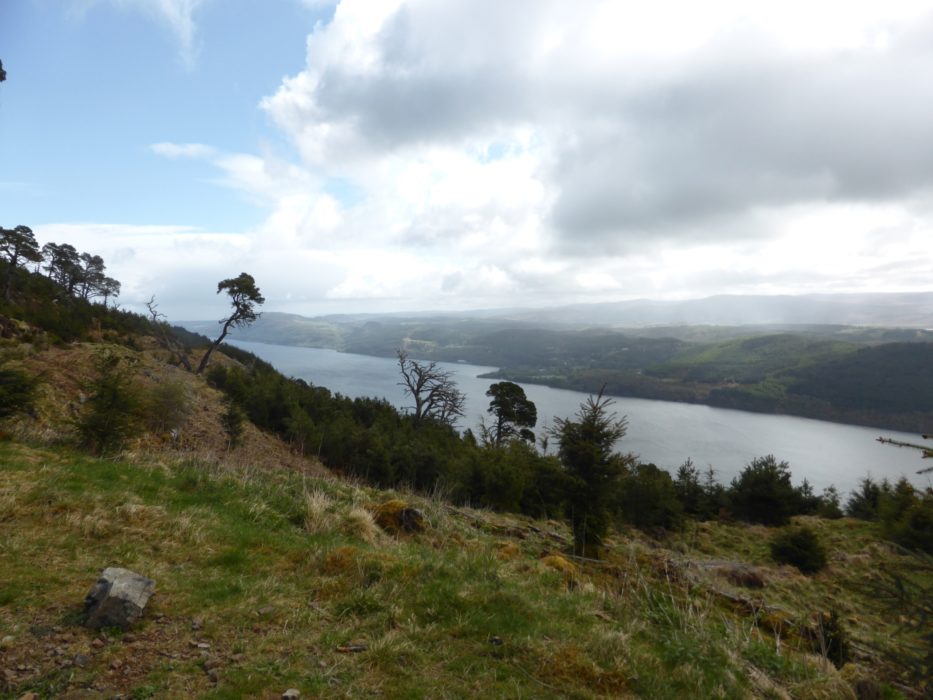 Views looking Northwards along Loch Ness
