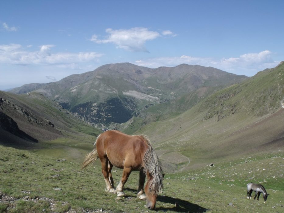 Puigmal from Coll de Noucreus