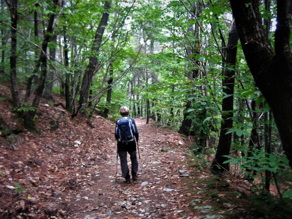 14 Woodland Trail