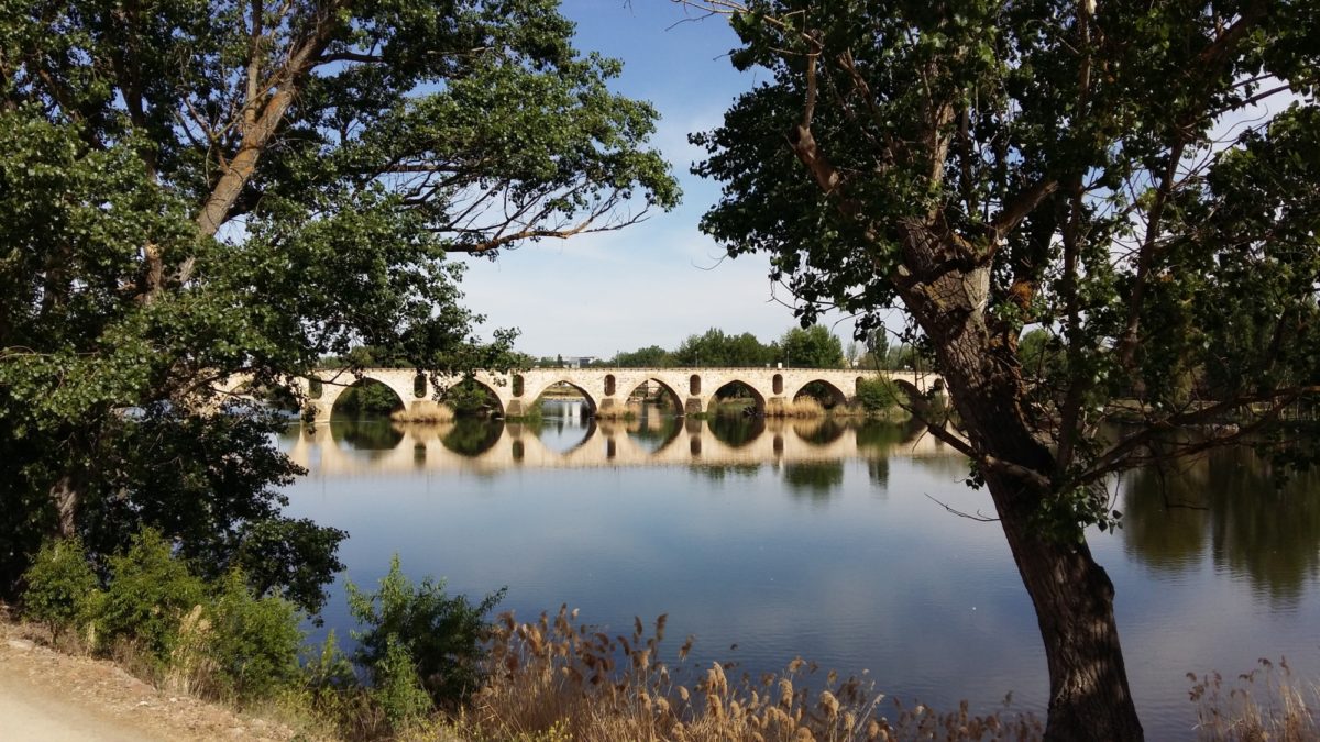 Roman Bridge at Zamora
