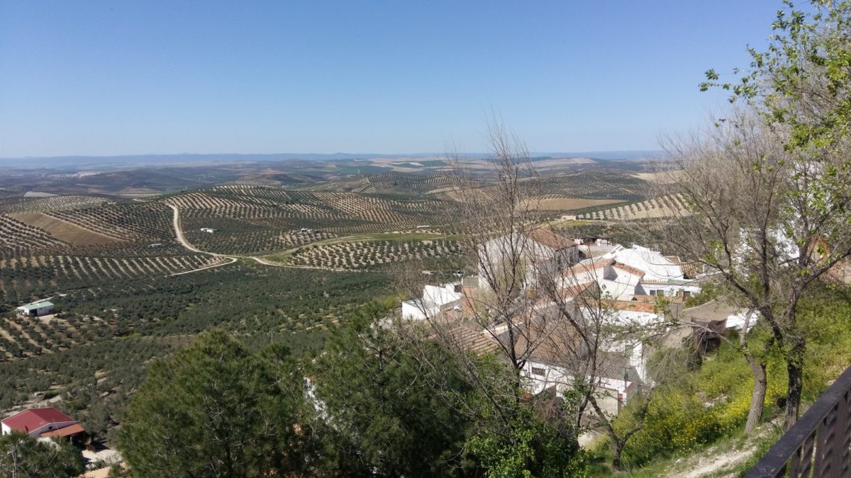Towards Cordoba from Espejo