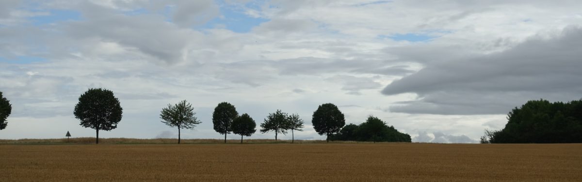 Fields, trees and big sky near Rosières-en-Haye (Lorraine)