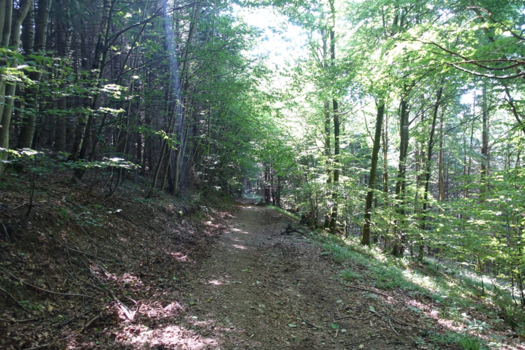 The final stage of the Northern GR5, approaching Schirmeck (Alsace)