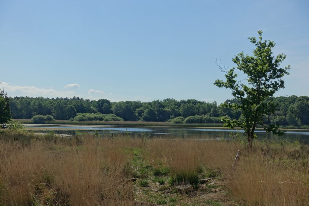De Maten nature reserve (Flanders)