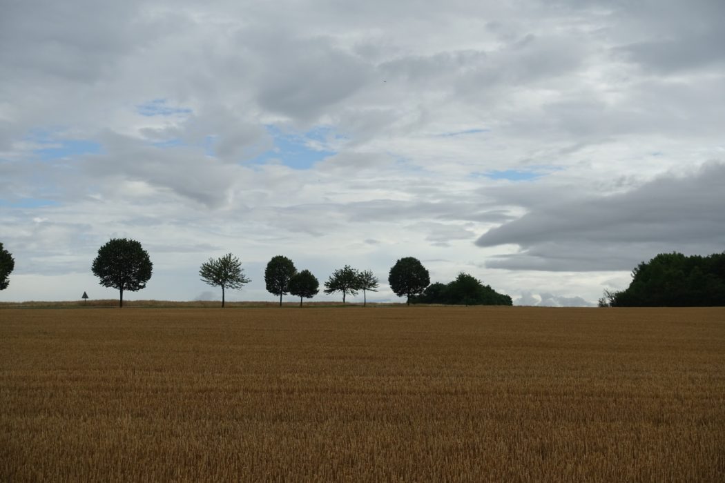 Fields, trees and big sky near Rosières-en-Haye (Lorraine)