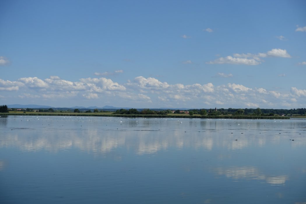 Étang de Lindre, with Vosges Mountains visible on the horizon (Lorraine)