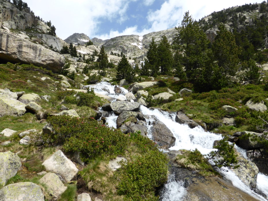 Lush green surroundings on the descent to Estany Llong