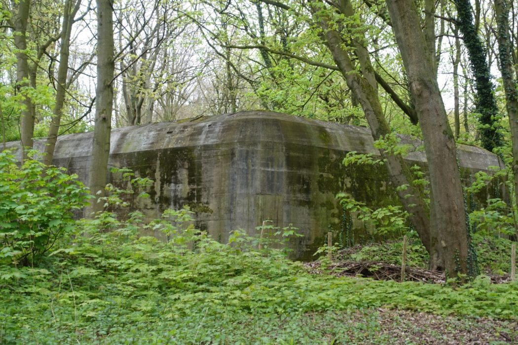 German bunker near Hoek van Holland; now a bat sanctuary