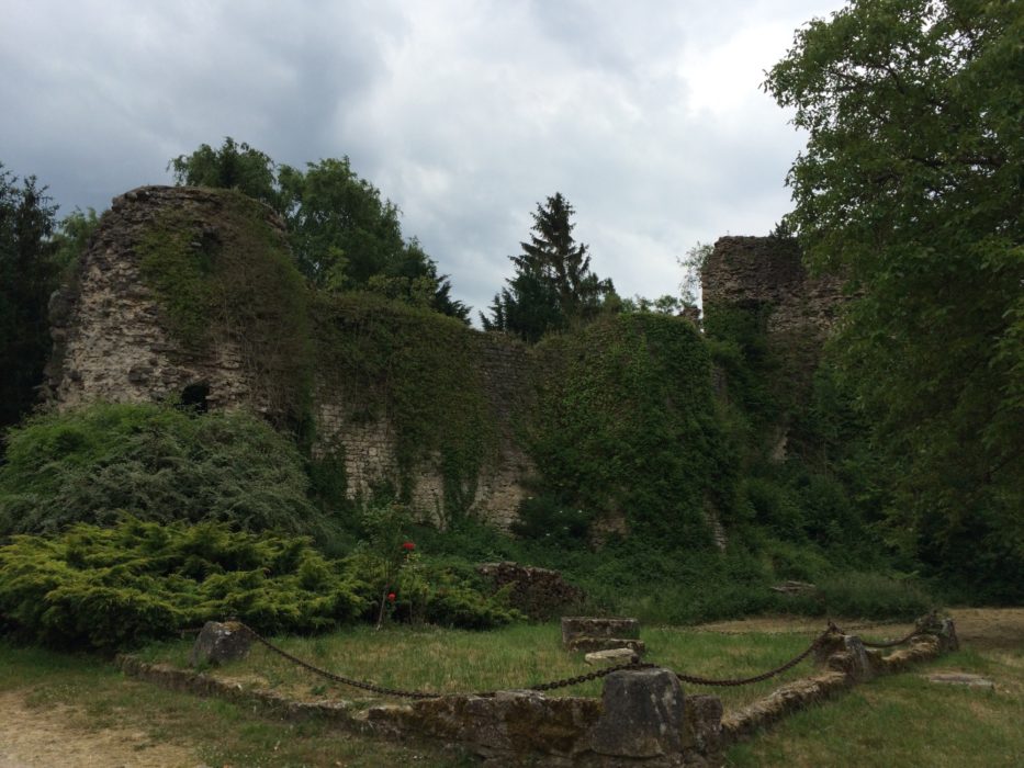 Ruins of Prény castle