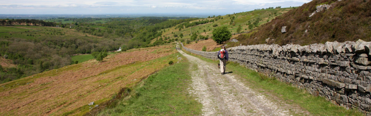 Banner Walking In Geltsdale