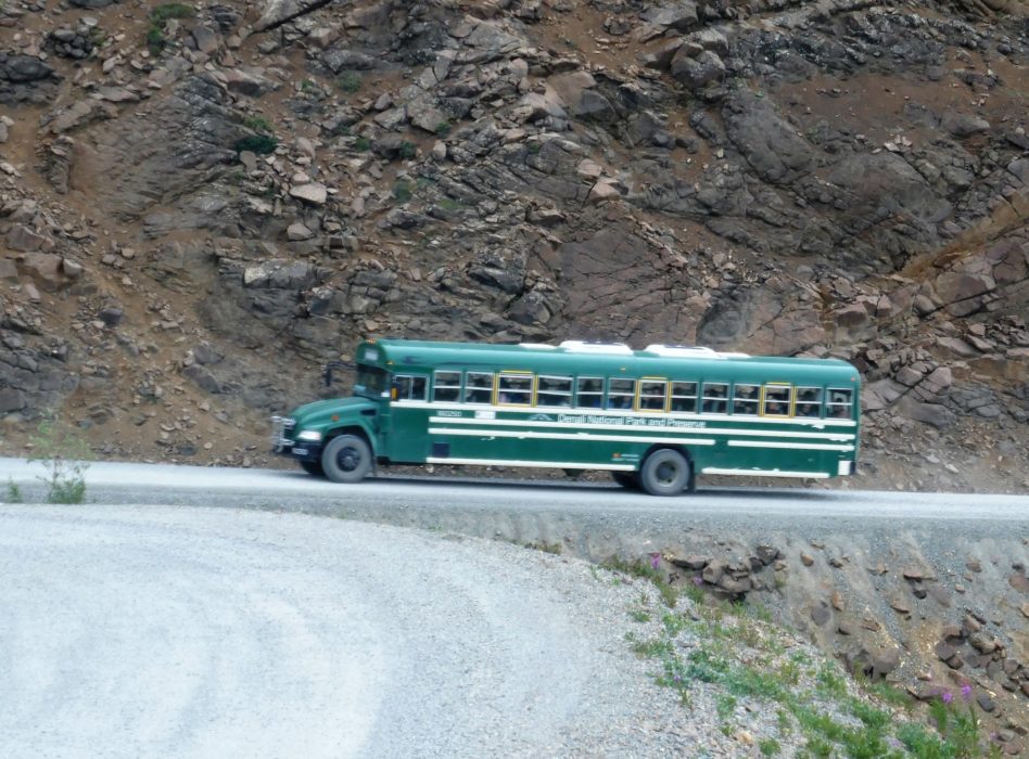 Tour Bus On Denali Park Road