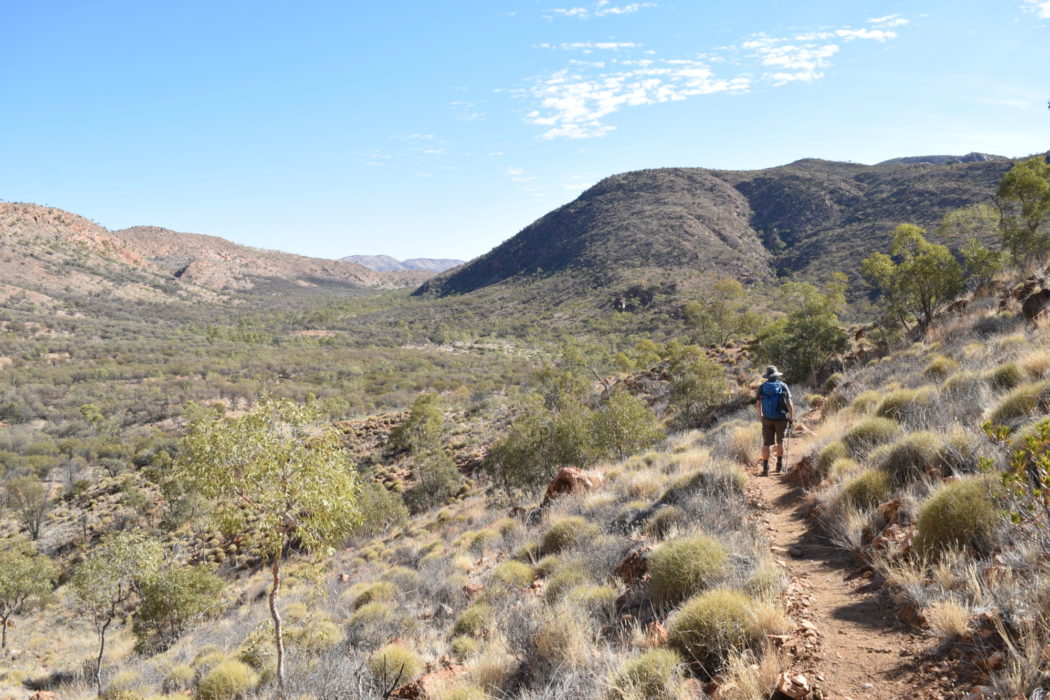 Walking between balls of spinifex grass deep in the wilderness