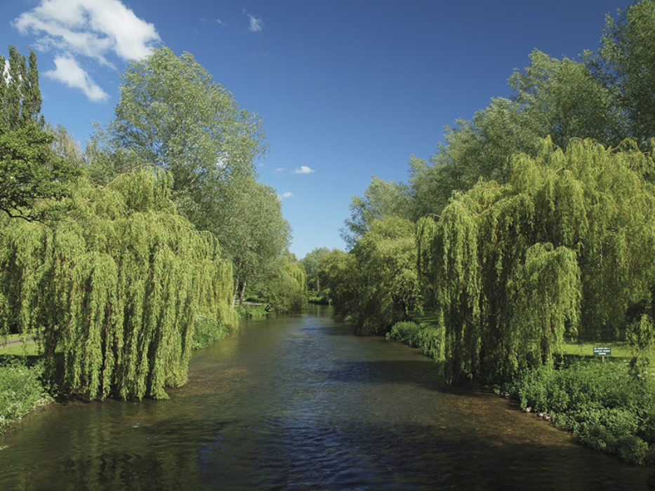 The River Kennet near Hampstead Lock