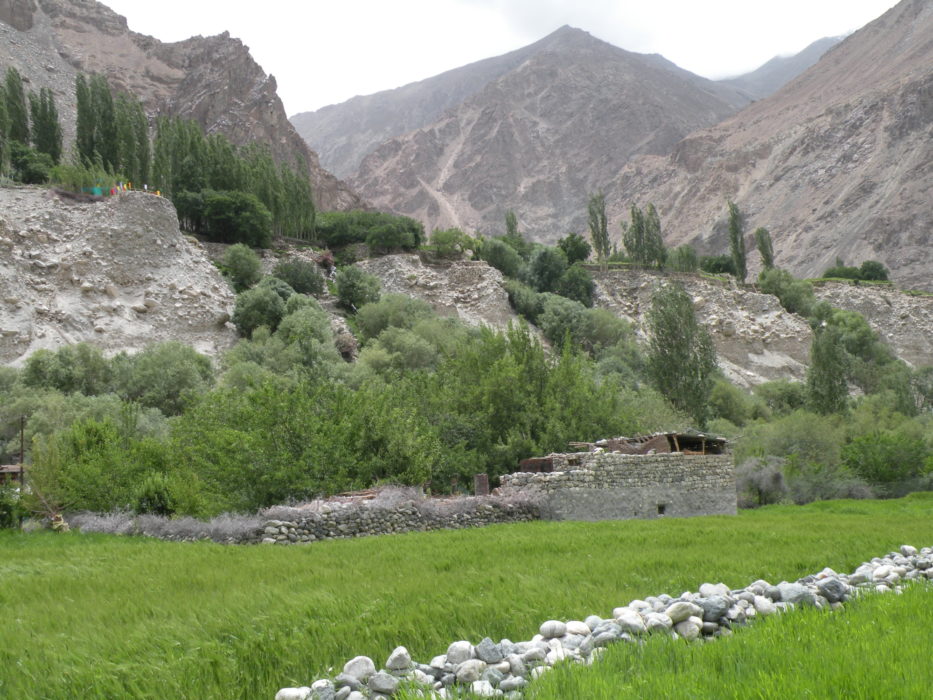 10 The Verdant Turtuk Valley