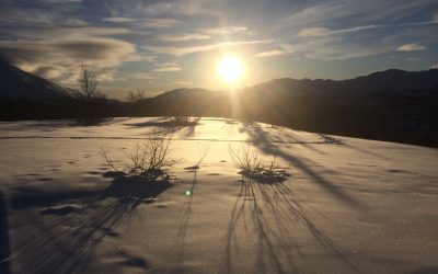 Mid-winter afternoon sun over the Telemark, north of Rjukan on the Hardangervidda plateau.