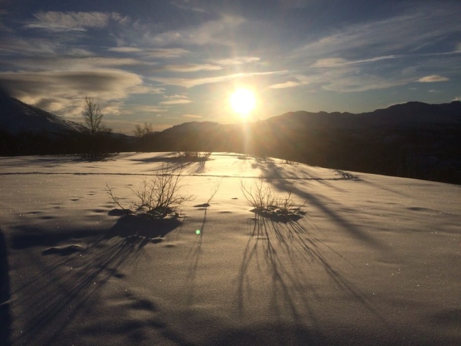 Mid-winter afternoon sun over the Telemark, north of Rjukan on the Hardangervidda plateau.