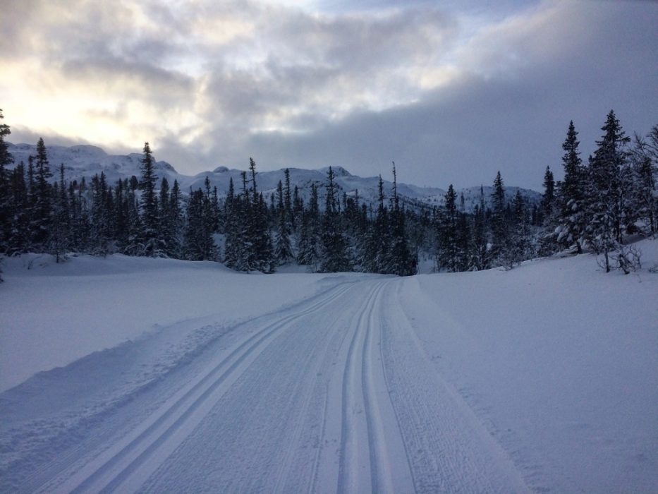 Norway is famous for its cross-country skiing. The Gaustablikk skicentre offers over 85km of groomed cross-country trails.