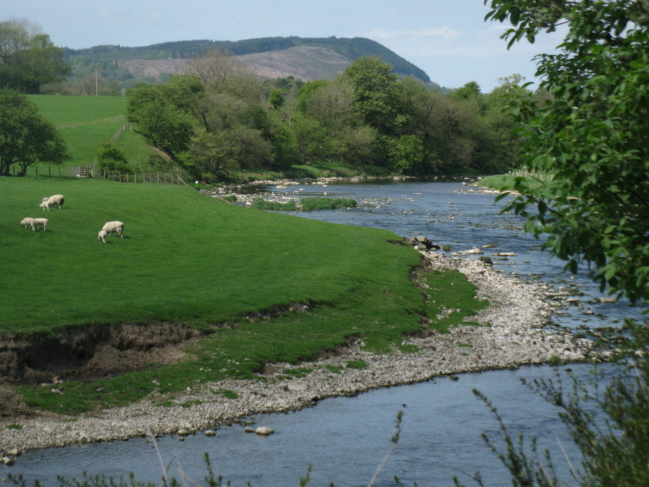 The River Ribble near Edisford - along the Ribble Way