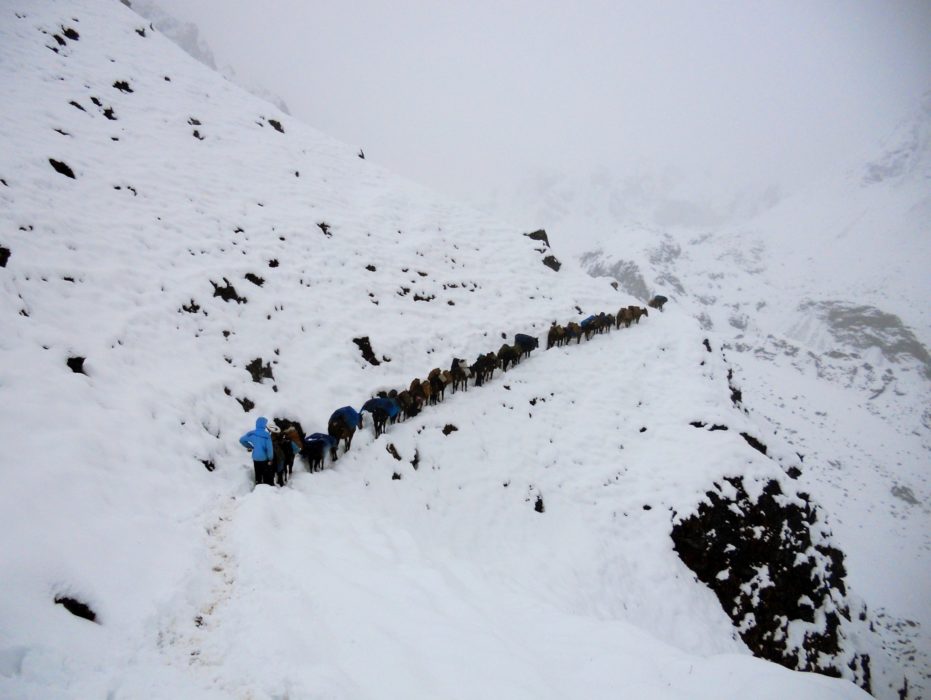 15 Phodrang La