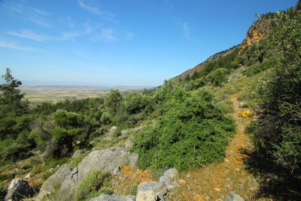 The narrow path with great views