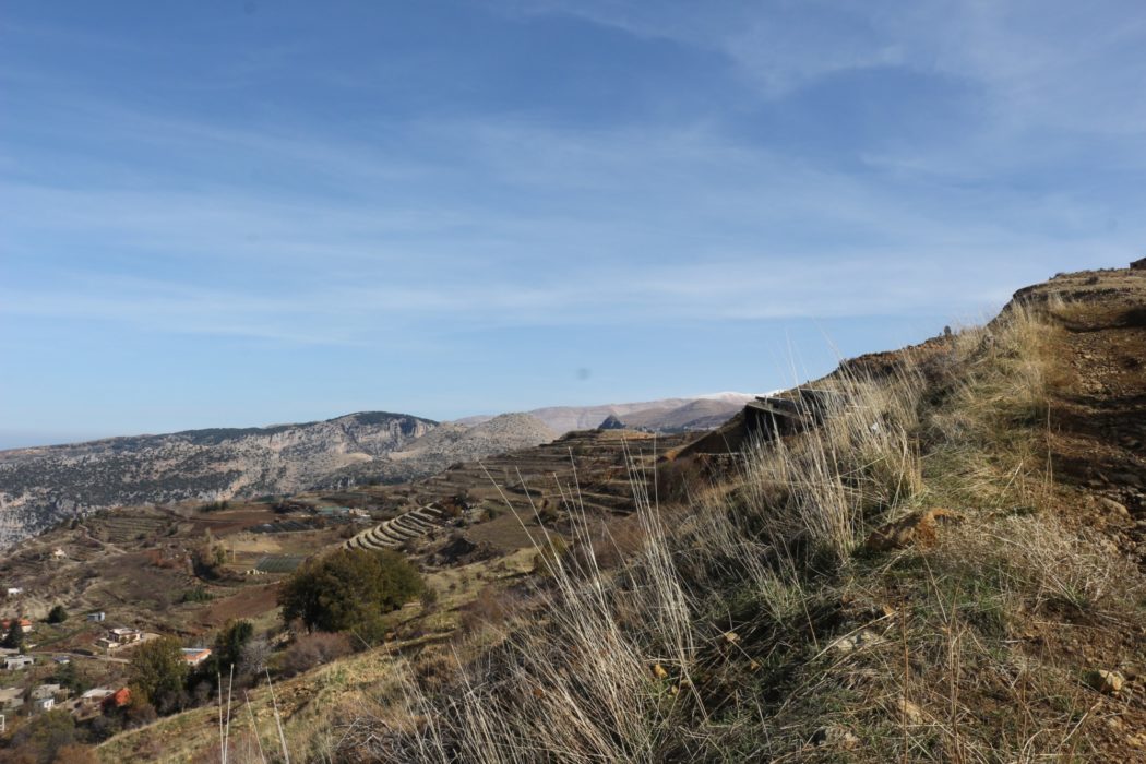 Cultivated land can extend some distance beyond the habitation