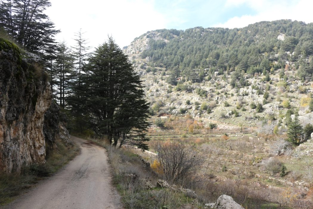 Easy walking through a small cultivated valley
