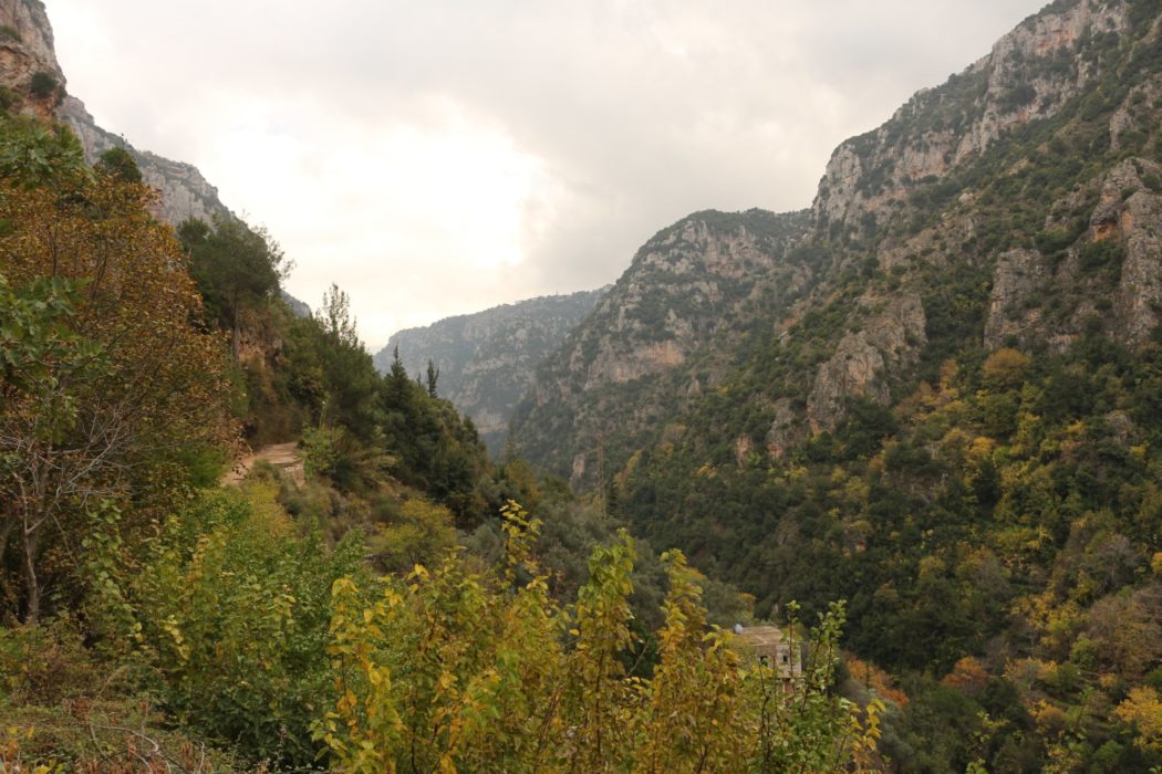 Midway along the Qadisha Valley