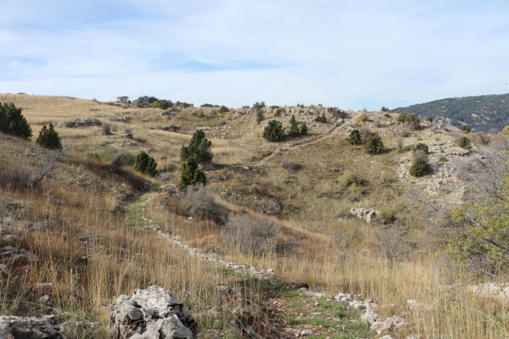 Typical limestone terrain between Hasroun and Tannourine