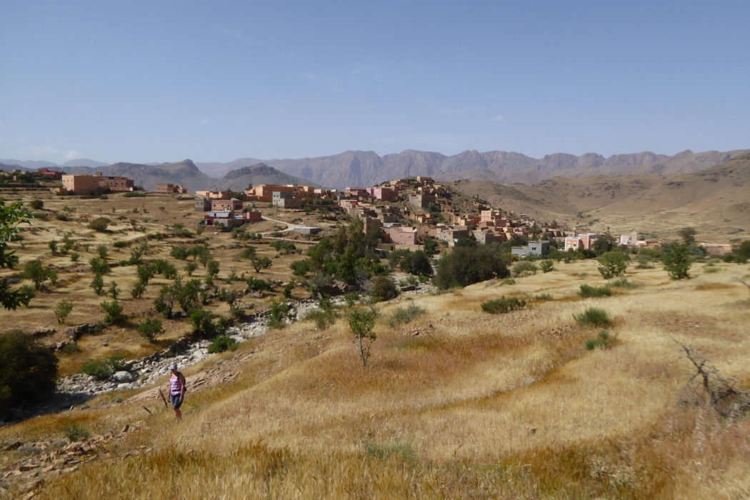 An easy ascent from the Ameln Valley skyline leads to the fine upper pastures of the east flank of Adrar Mqorn. Here the path is littered with lavender dentata in springtime and the walking is joyful.